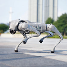 Load image into Gallery viewer, Robot Dog
